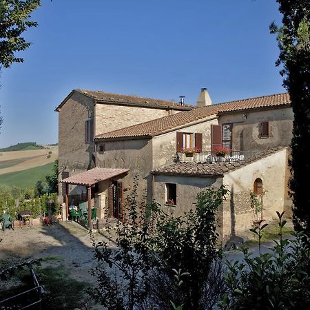 Agriturismo Podere Olivello In Val D'Orcia Montalcino Exteriér fotografie