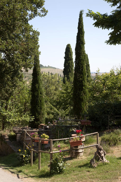 Agriturismo Podere Olivello In Val D'Orcia Montalcino Exteriér fotografie