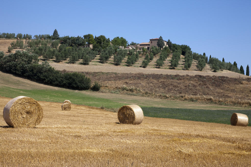 Agriturismo Podere Olivello In Val D'Orcia Montalcino Exteriér fotografie